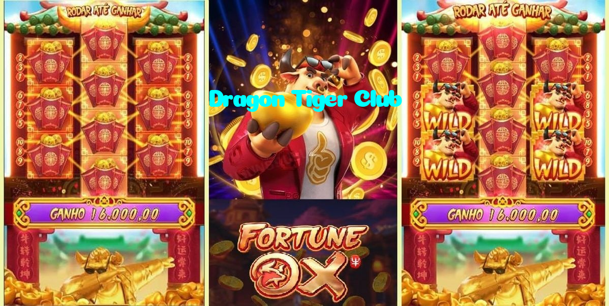 available types of Dragon Tiger Club bet including pre-match live express and system bets